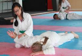 play aikido272186